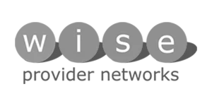 Wise logo